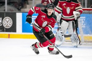 Blades Acquire Towering Rebels Overage Defender