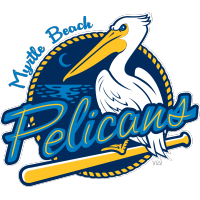 Clutch Hit Never Comes, Pelicans Drop First Game to Charleston