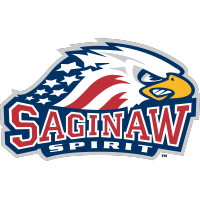 Eight Saginaw Spirit Players to Participate in NHL Training Camps