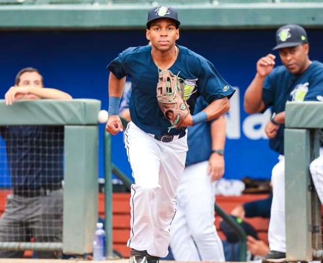 Javier Vaz of the Columbia Fireflies