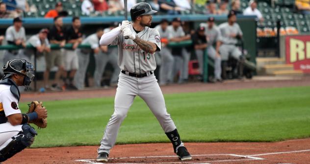 Long Island Ducks' L.J. Mazzilli in action