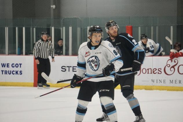 Winnipeg ICE Showcase Game action