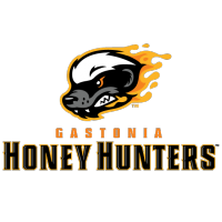 Gastona Honey Hunters' John Anderson Named Atlantic League's August Co-Pitcher of the Month