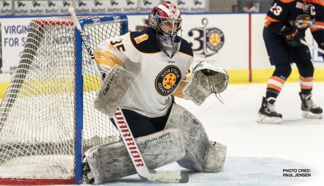 Norfolk Admirals goaltender Jeremy Brodeur