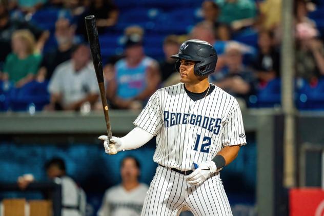 Hudson Valley Renegades outfielder Jasson Domínguez