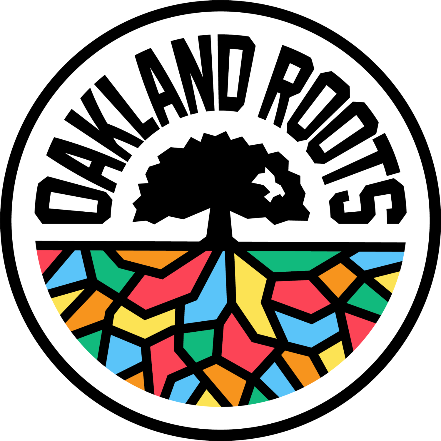 Oakland Roots Head to Colorado Springs Looking for Three Game Win Streak