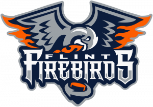 OHL 20 in 20: Flint Firebirds