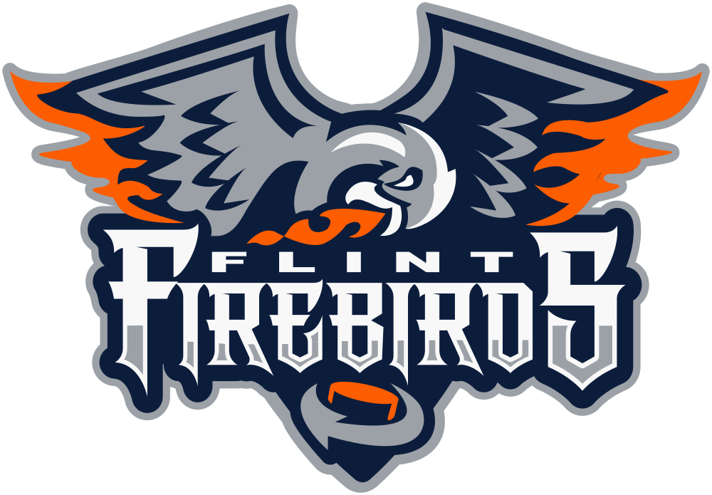 OHL 20 in 20: Flint Firebirds