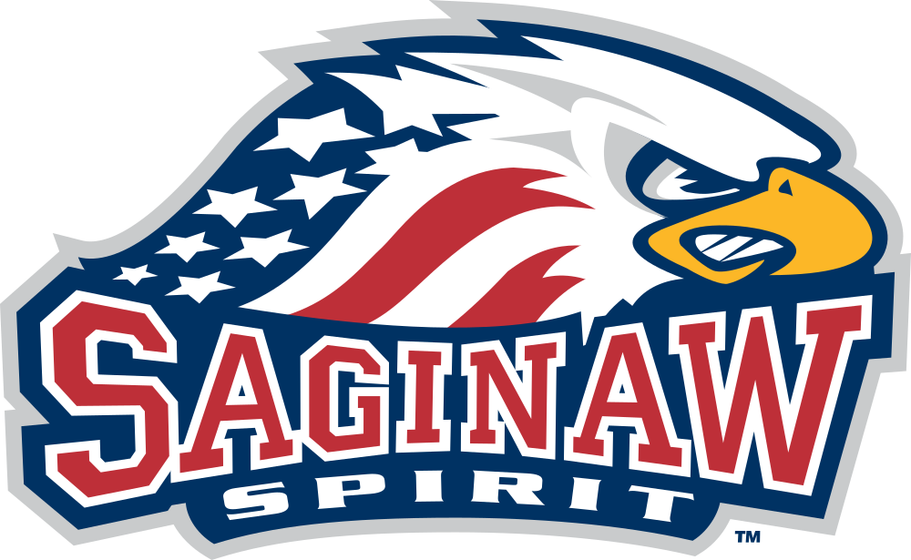 OHL 20 in 20: Saginaw Spirit