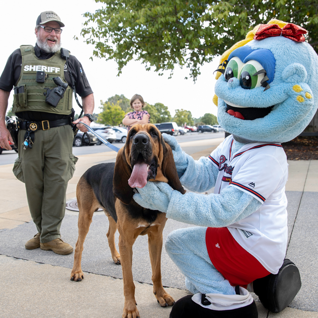 Rome Braves' mascot Roxie greeting a police dog