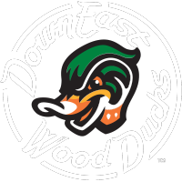 Woodpeckers Shutout the Wood Ducks