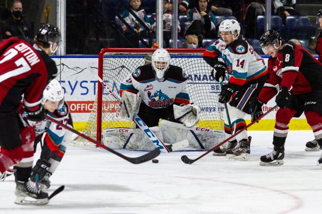 Kelowna Rockets goaltender Talyn Boyko