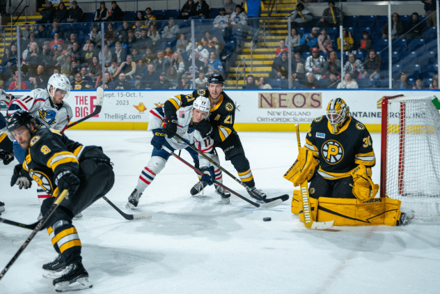 Springfield Thunderbirds' Nikita Alexandrov battles Providence Bruins' Dan Renouf