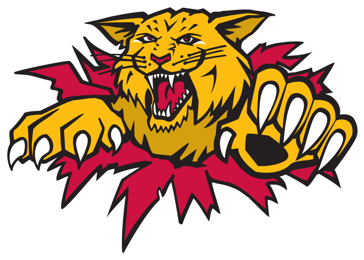Cats Come Back for a Hallo-Win