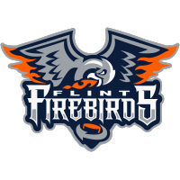 Firebirds Look to Bounce Back on Home Ice, Host Sting Tonight on Dort Financial Member Night
