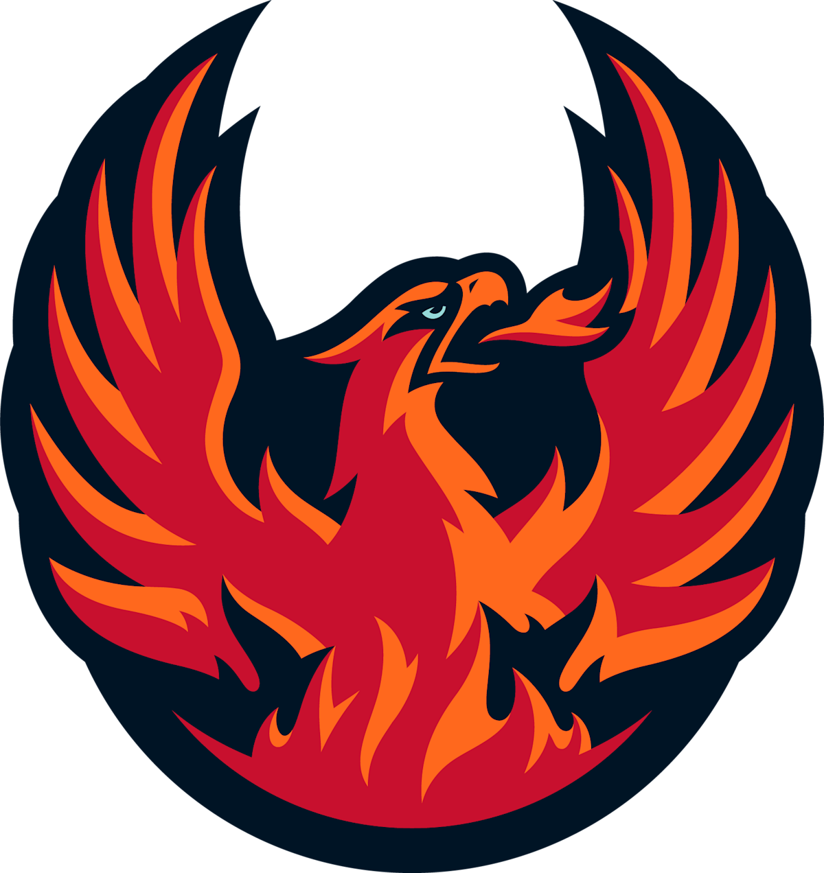 Firebirds Release Group Tickets