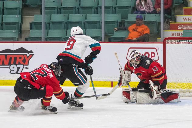 Kelowna Rockets' Marcus Pacheco on the ice