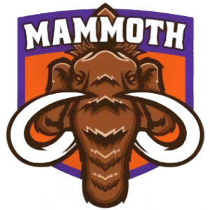 Mammoth Acquire Dalton Anderson