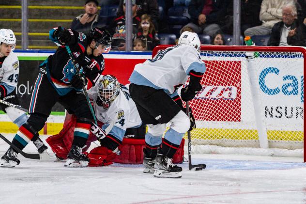 Kelowna Rockets take on the Portland Winterhawks