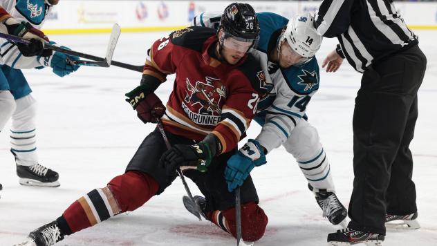 Tucson Roadrunners' Travis Barron Versus San Jose Barracuda's Jasper Weatherby