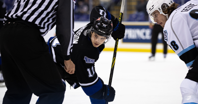 Victoria Royals' Matthew Hodson in action