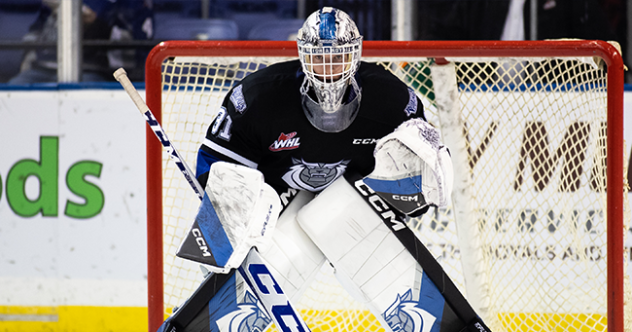 Victoria Royals goaltender Tyler Palmer