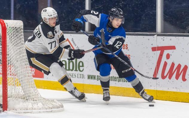 Saint John Sea Dogs' Brady Burns versus Charlottetown Islanders' Anton Topilnyckyj