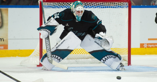 Goaltender Strauss Mann with the San Jose Barracuda