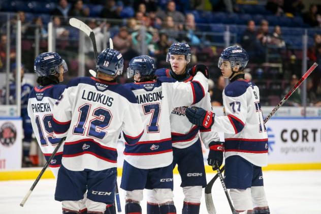 Saginaw Spirit celebrate after a goal against the Sudbury Wolves