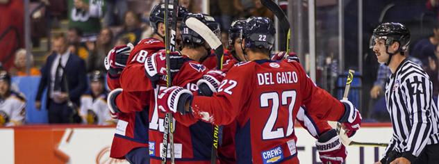 South Carolina Stingrays celebrate a goal