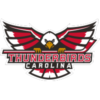Thunderbirds Add Stalwart Goaltender Babik