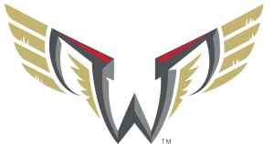 Wings Training Camp Session Open to Public