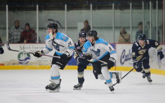 Ben Anderson (#24) and Wisconsin Windigo teammate Cam Boche (#9) head up ice