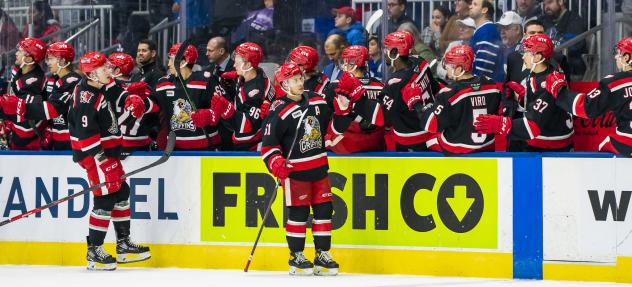 Grand Rapids Griffins exchange high fives along the bench