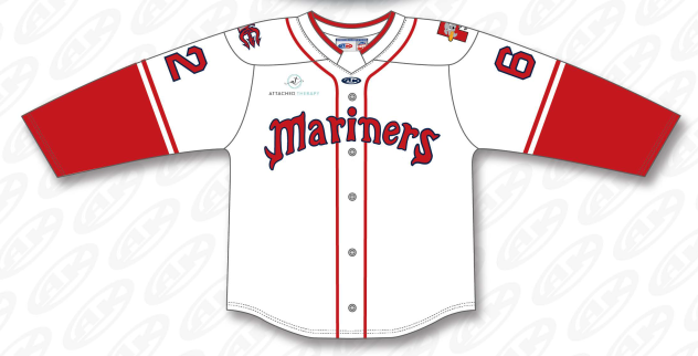 Maine Mariners' Portland Sea Dogs specialty jersey