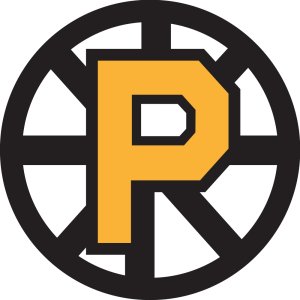 Providence Bruins Recall Bussi from Maine