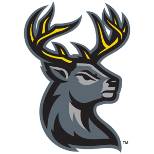 Riese Zmolek Named Heartlanders Captain